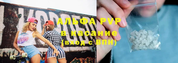 прущие грибы Балабаново
