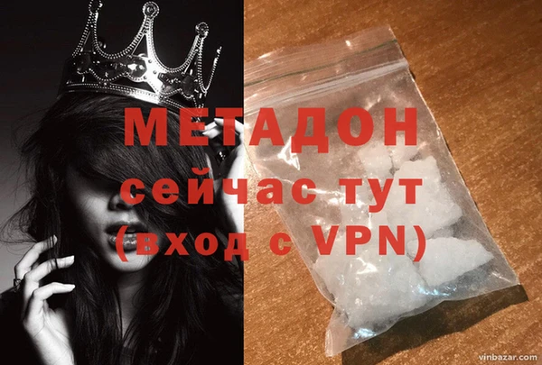 прущие грибы Балабаново