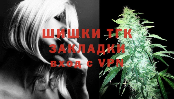 дживик Балахна