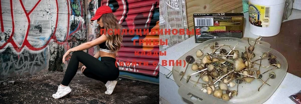 прущие грибы Балабаново