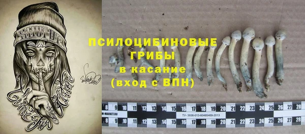 дживик Балахна