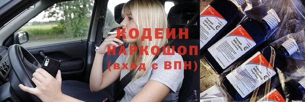 прущие грибы Балабаново
