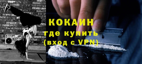 прущие грибы Балабаново